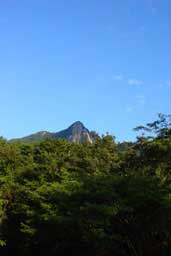鉾岳 宮崎県上鹿川でのフライフィッシング