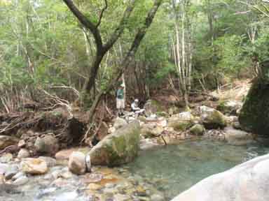 エノハ釣り 宮崎県上鹿川や福岡市近郊でのフライフィッシング